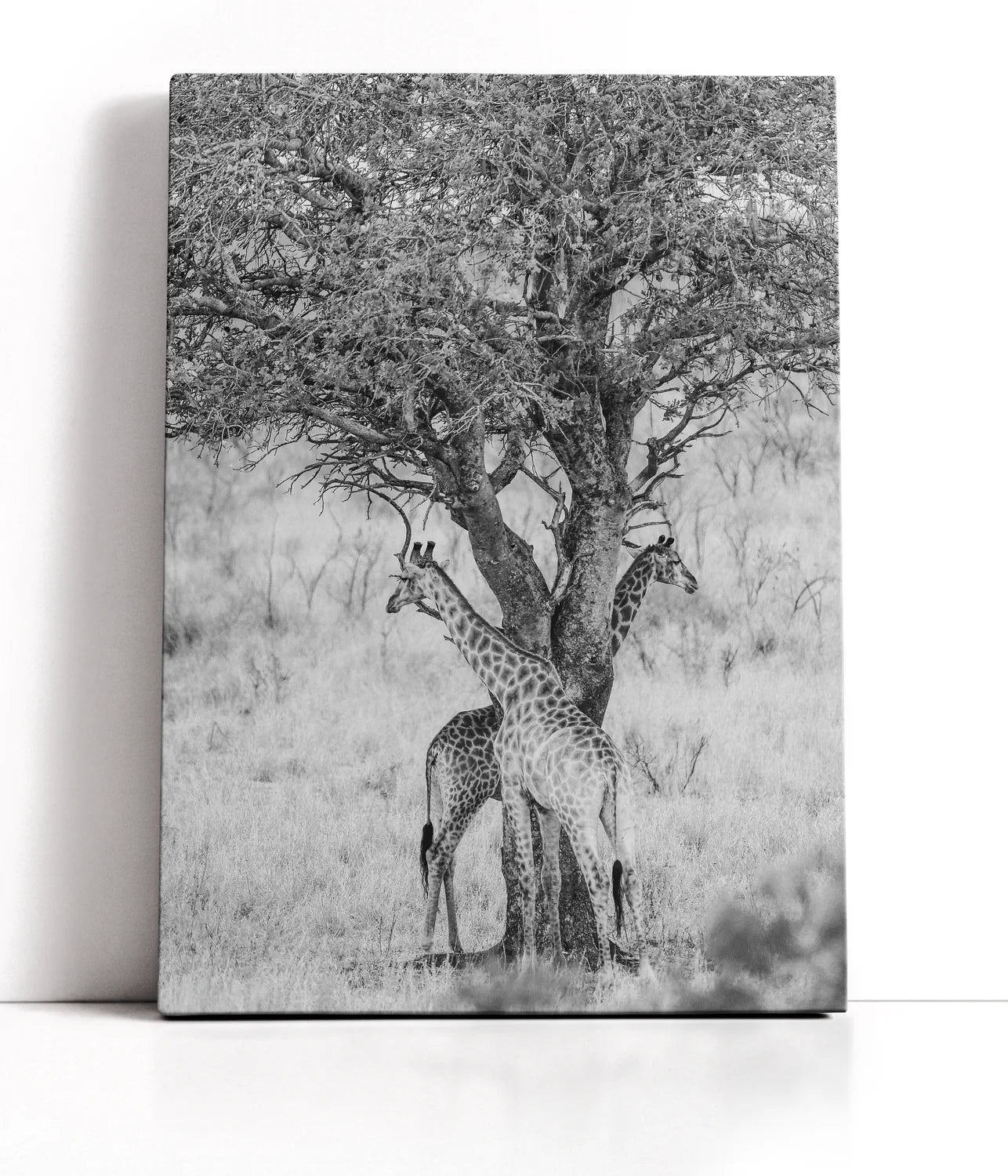 Got Your Back Lærred