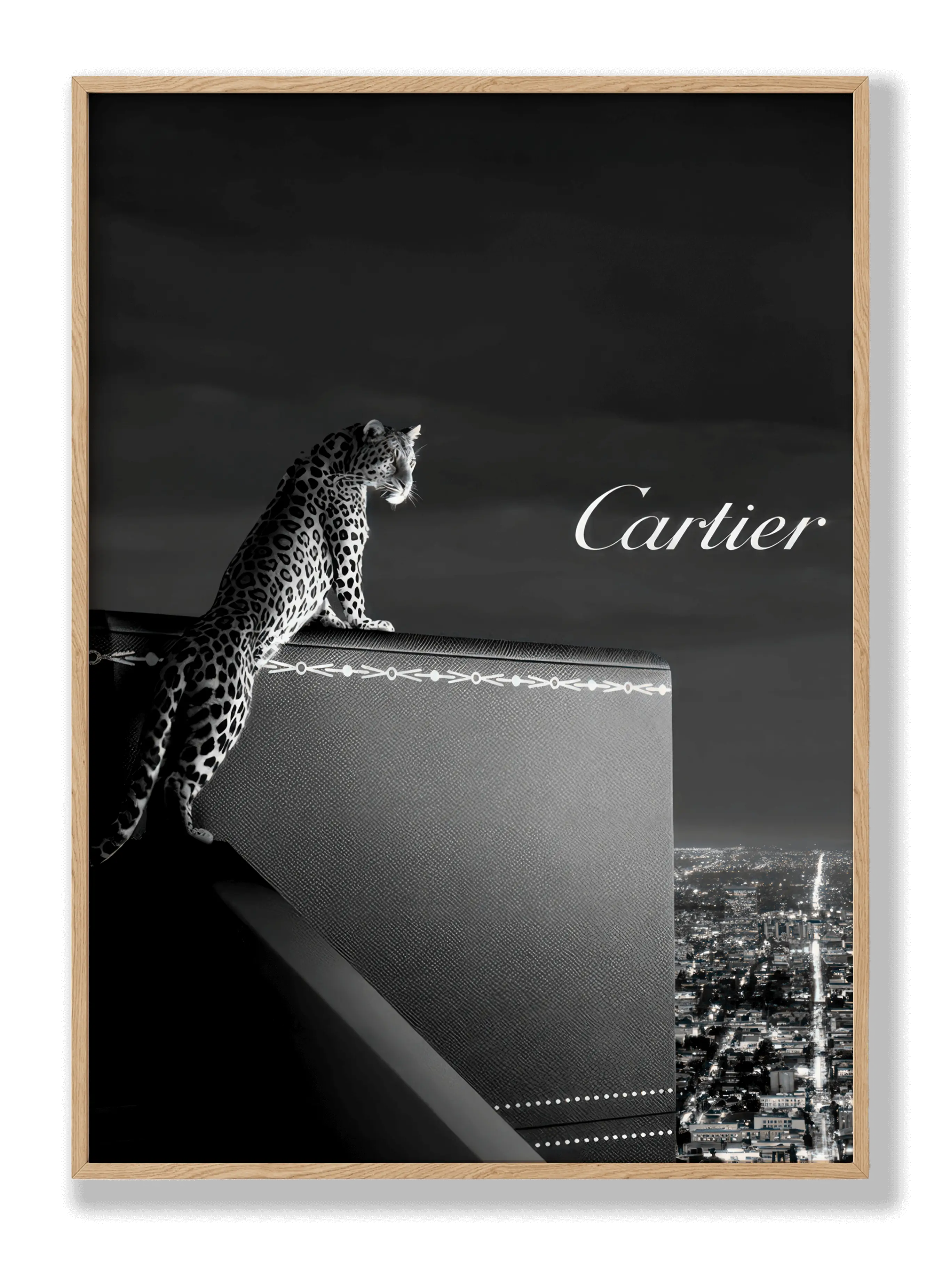 Cartier-Dachposter