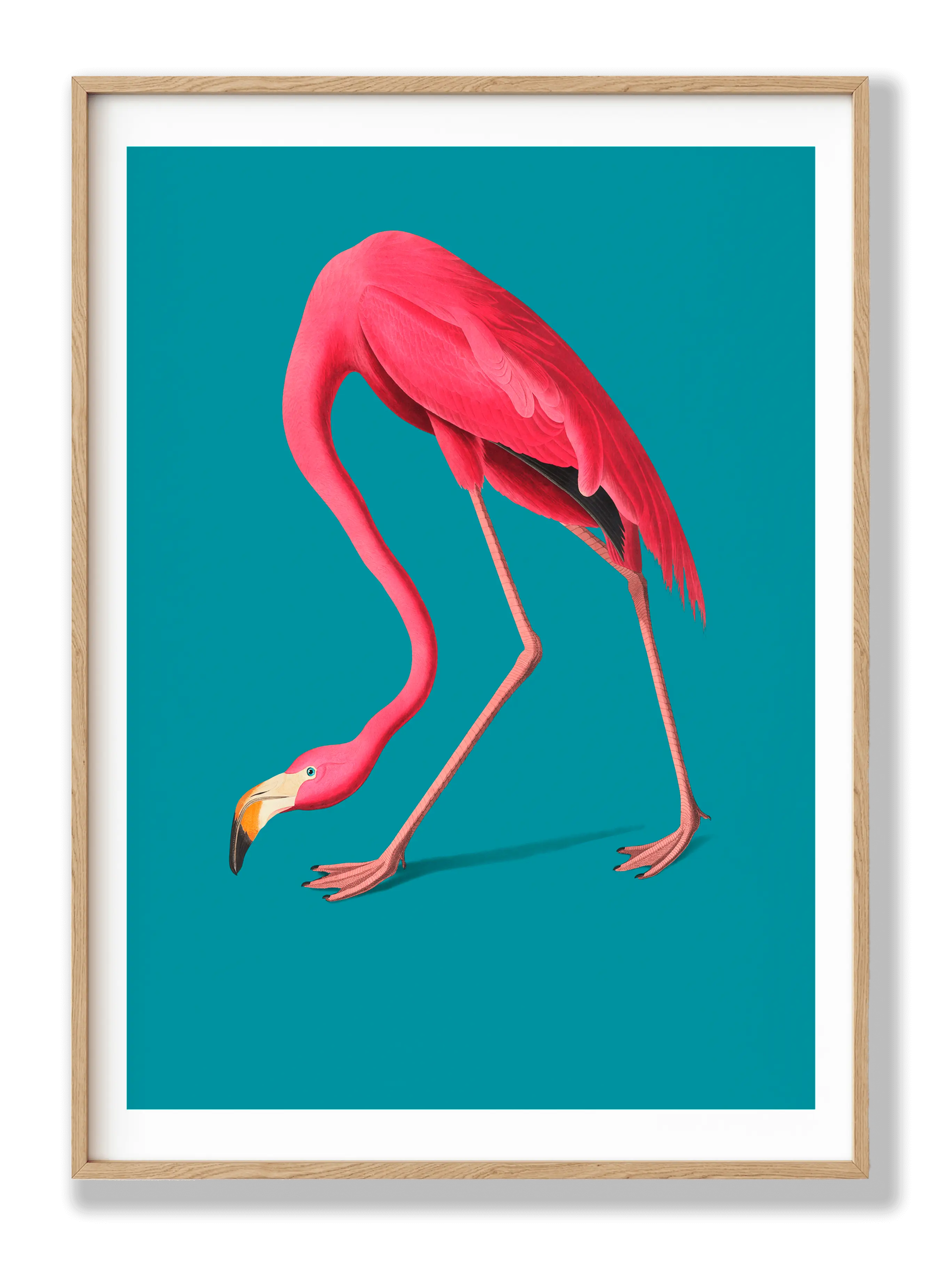 Flamingo Poster