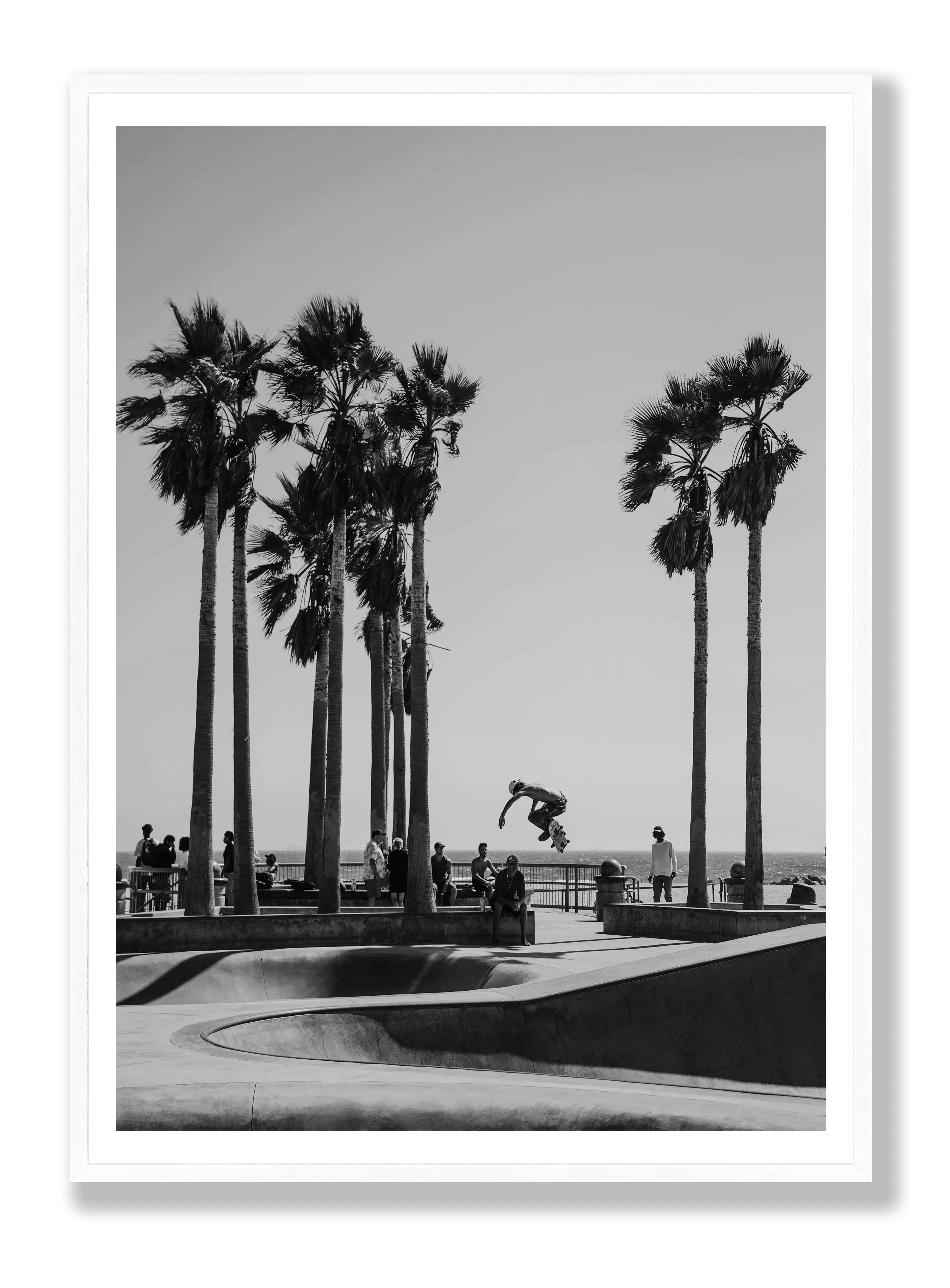 Skate Venice Beach Plakat