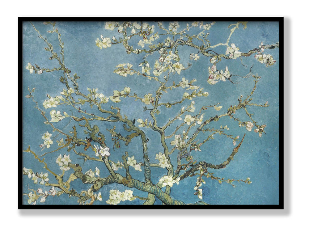 Vincent Van Gogh's Almond Blossom 1890 Plakat