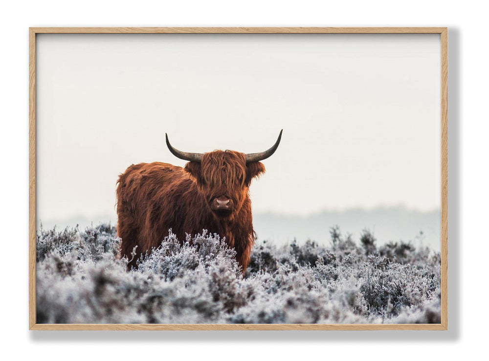 Highlander Plakat