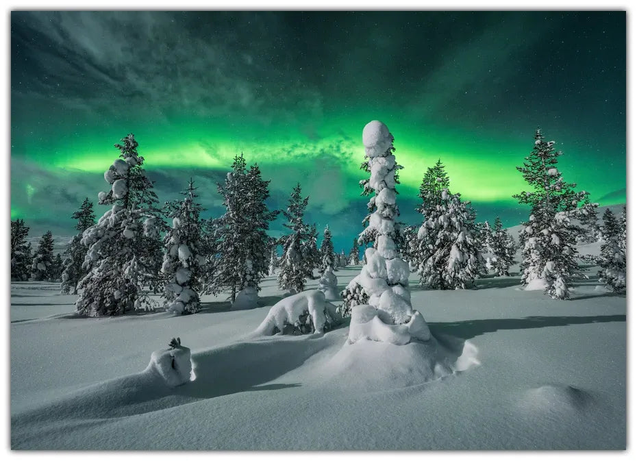 Polar Night Plakat
