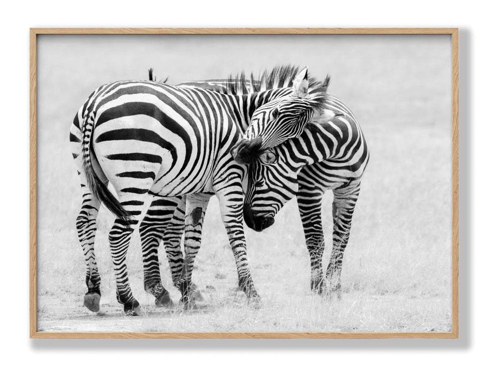 Tender Moment Plakat