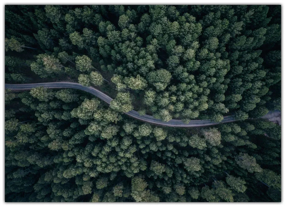 From above Plakat