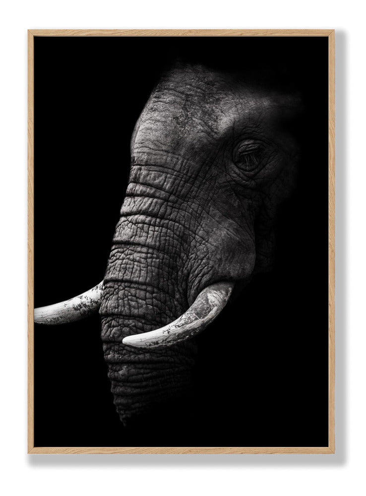 Portrait Plakat