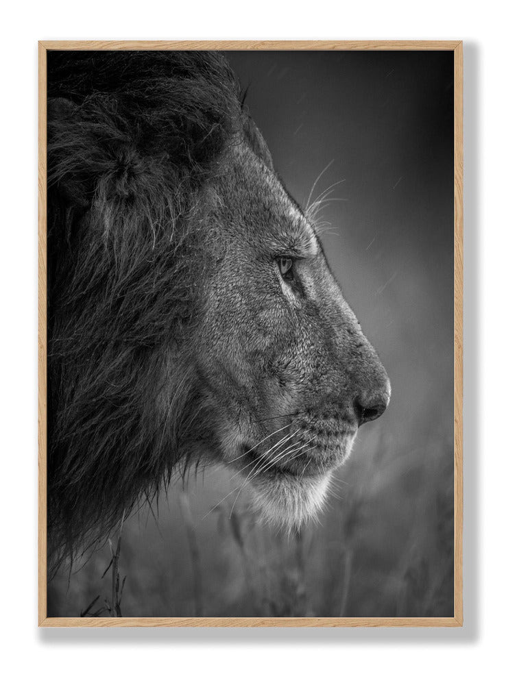 Thinking Under The Rain Plakat
