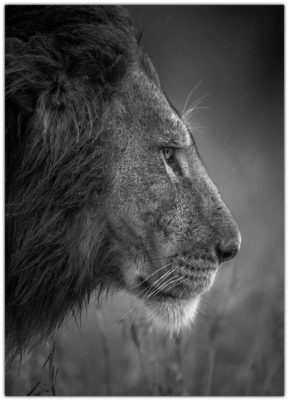 Thinking Under The Rain Plakat