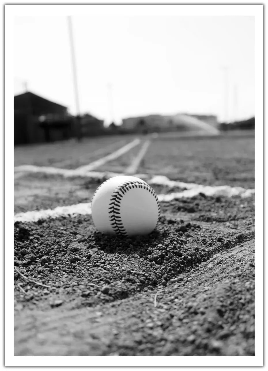 Baseball Court Plakat