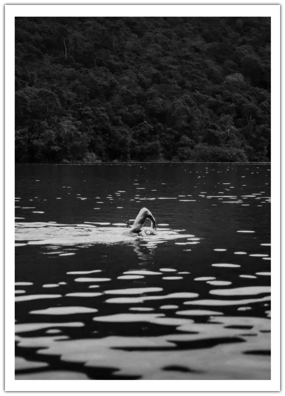 Swimming In The Wild Plakat