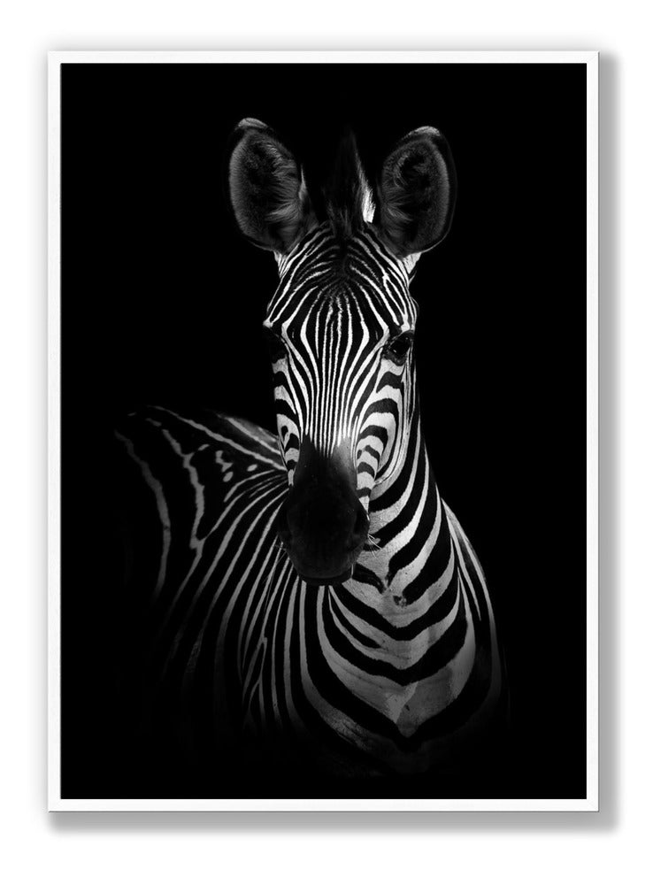 The Zebra Plakat