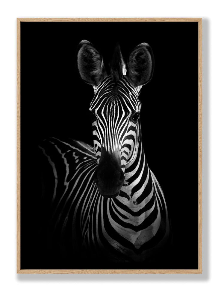 The Zebra Plakat