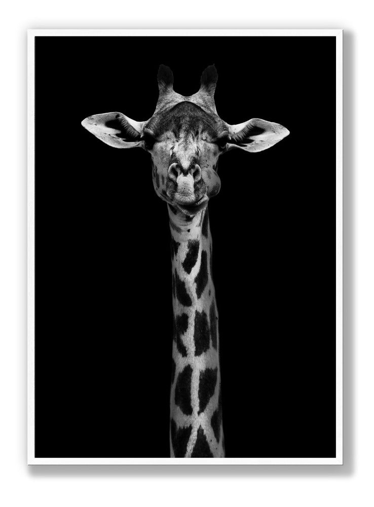 Giraffe Portrait Plakat