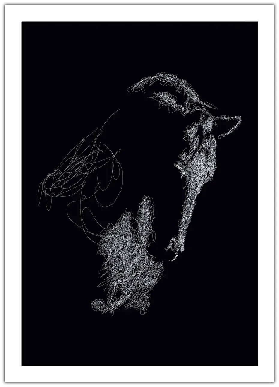 Horse Drawing Plakat