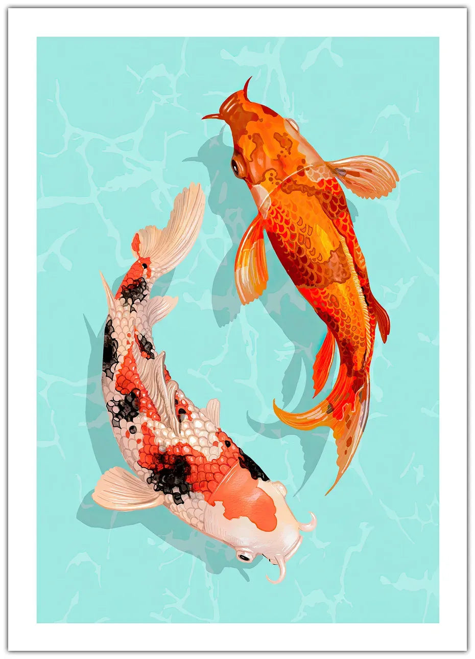 Koi Plakat