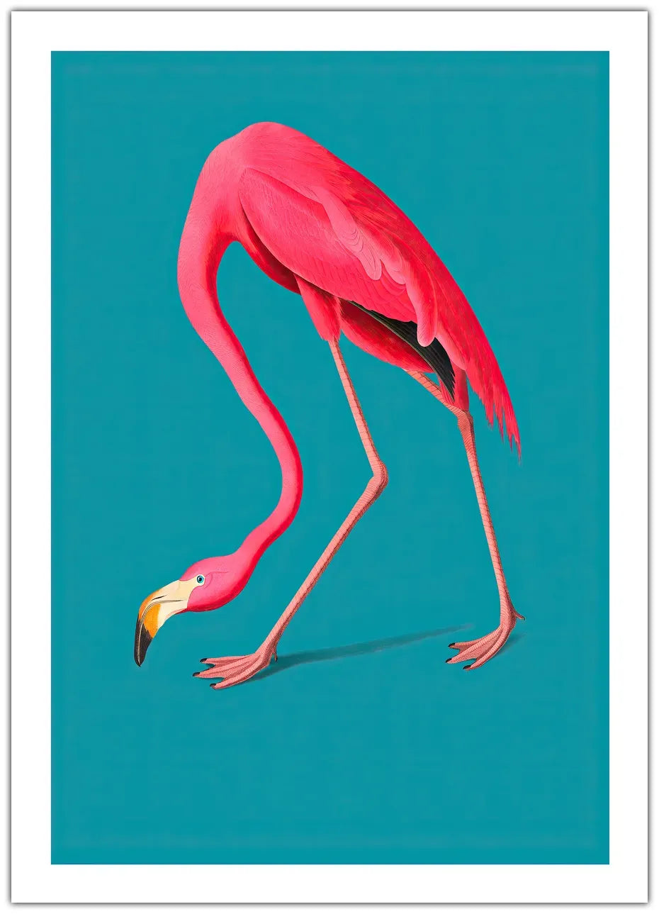 Flamingo Plakat