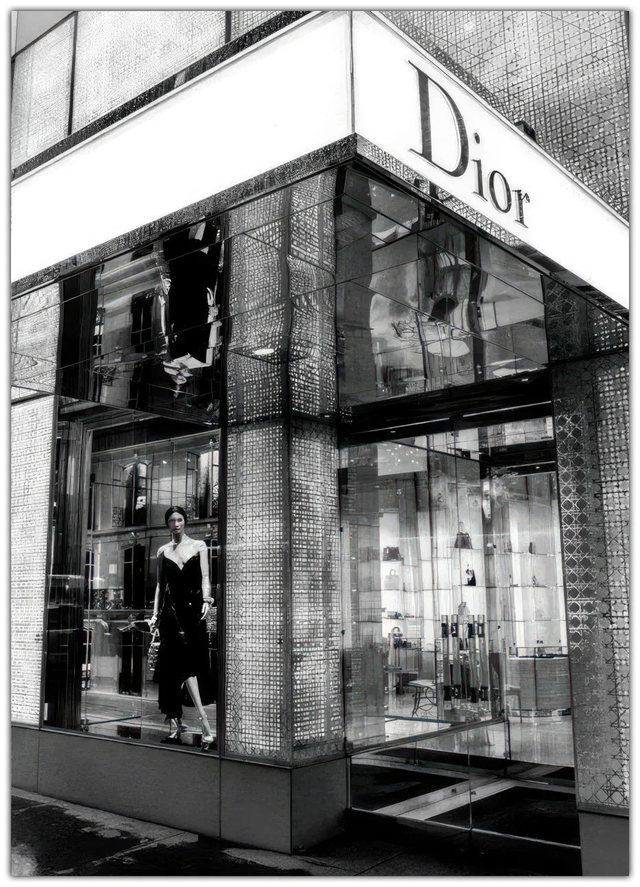 Dior Front Plakat