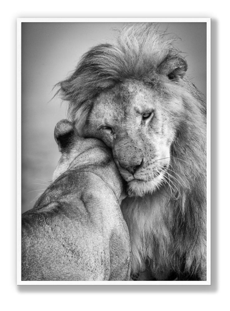 Afrikanische Liebe! Poster