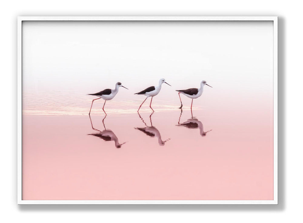 TRIO Plakat