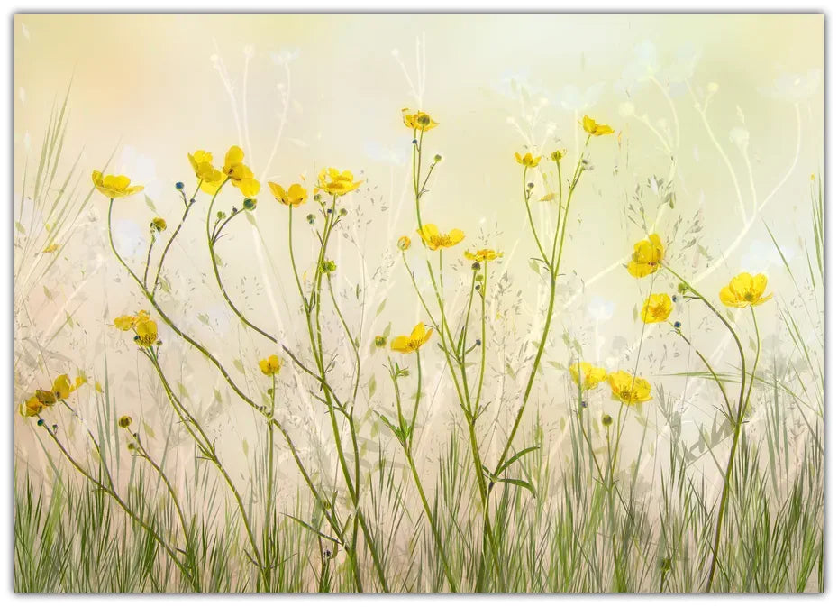 Good morning! Plakat