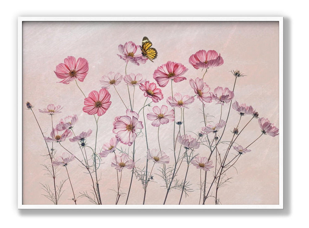 Cosmos and Butterfly Plakat