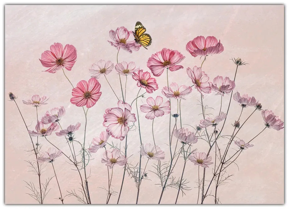 Cosmos and Butterfly Plakat