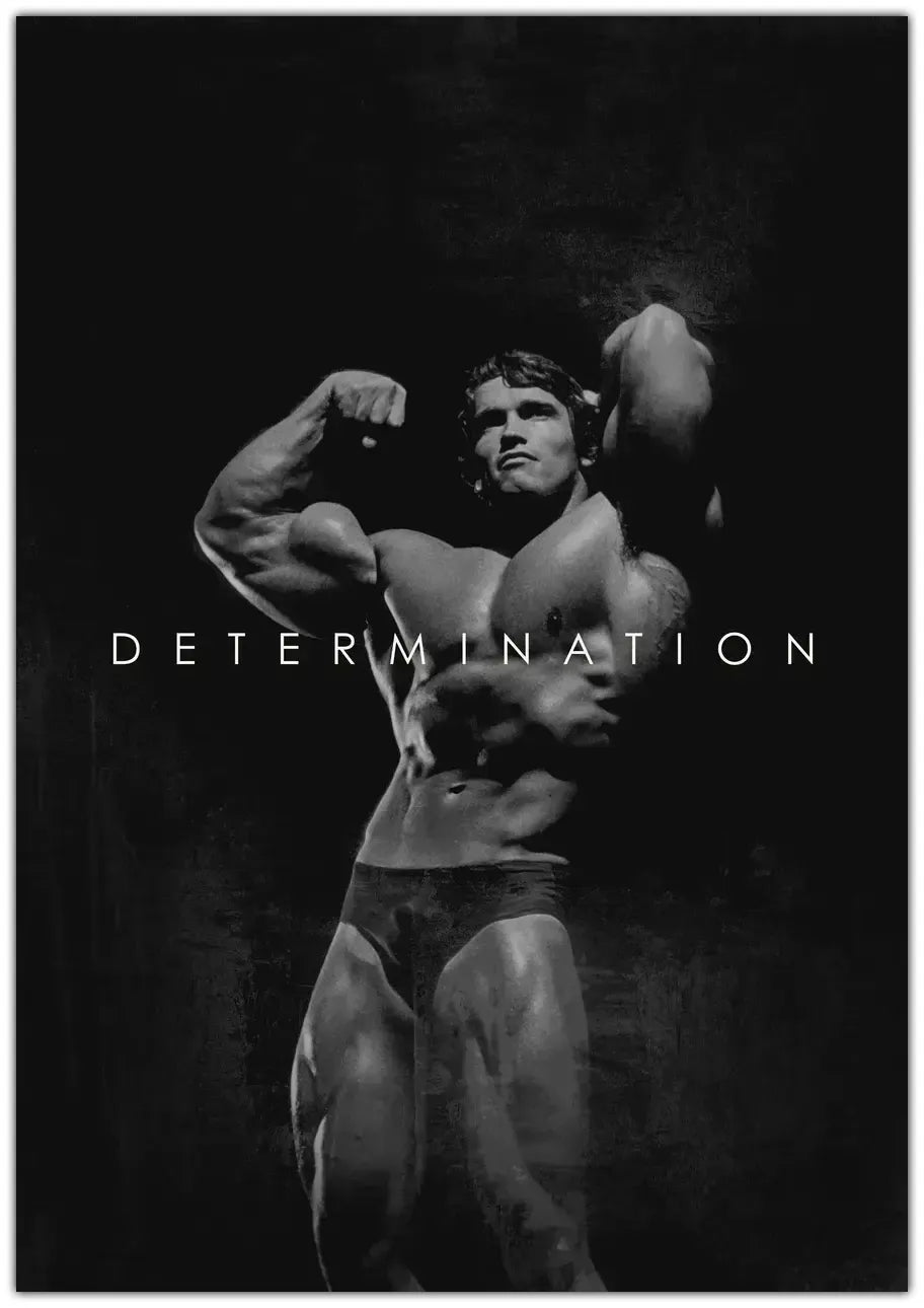 Arnold Schwarznegger Plakat
