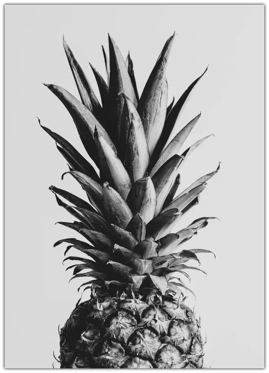 Pineapple Black Plakat