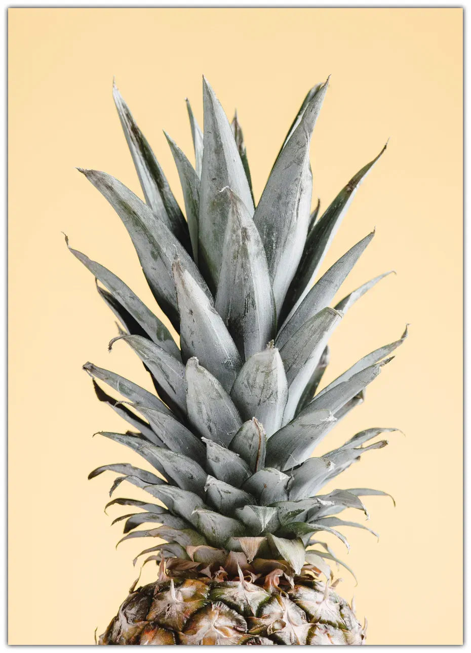 Pineapple Yellow 4 Plakat