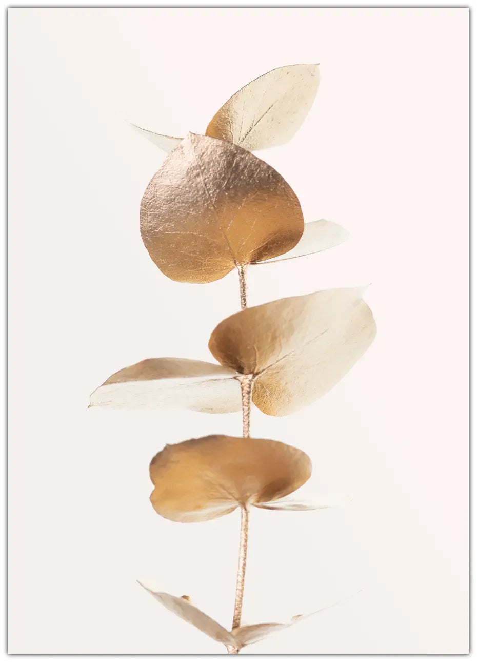 Eucalyptus Gold No 06 Plakat