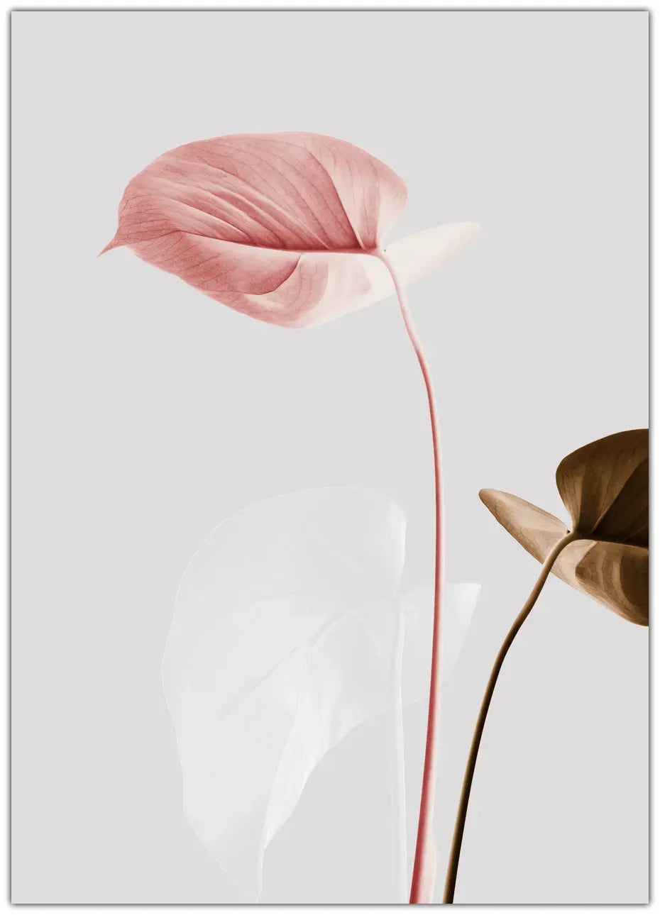 Monstera Creative 21 Plakat