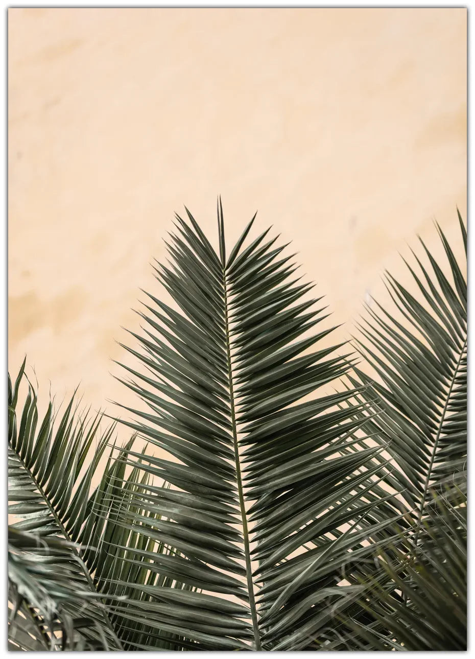 Palm leaves and wall 1 Plakat