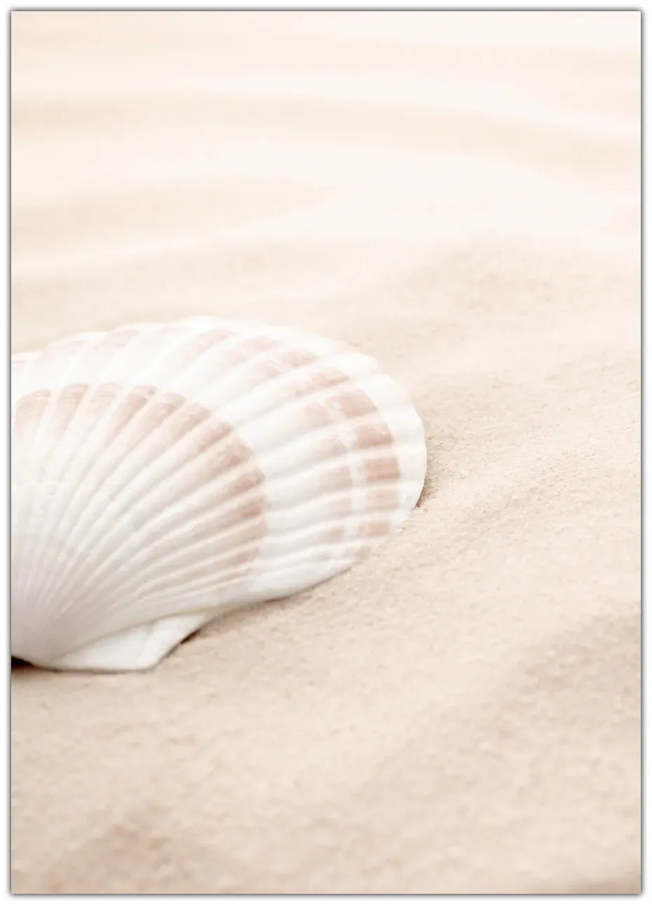 Shell Plakat