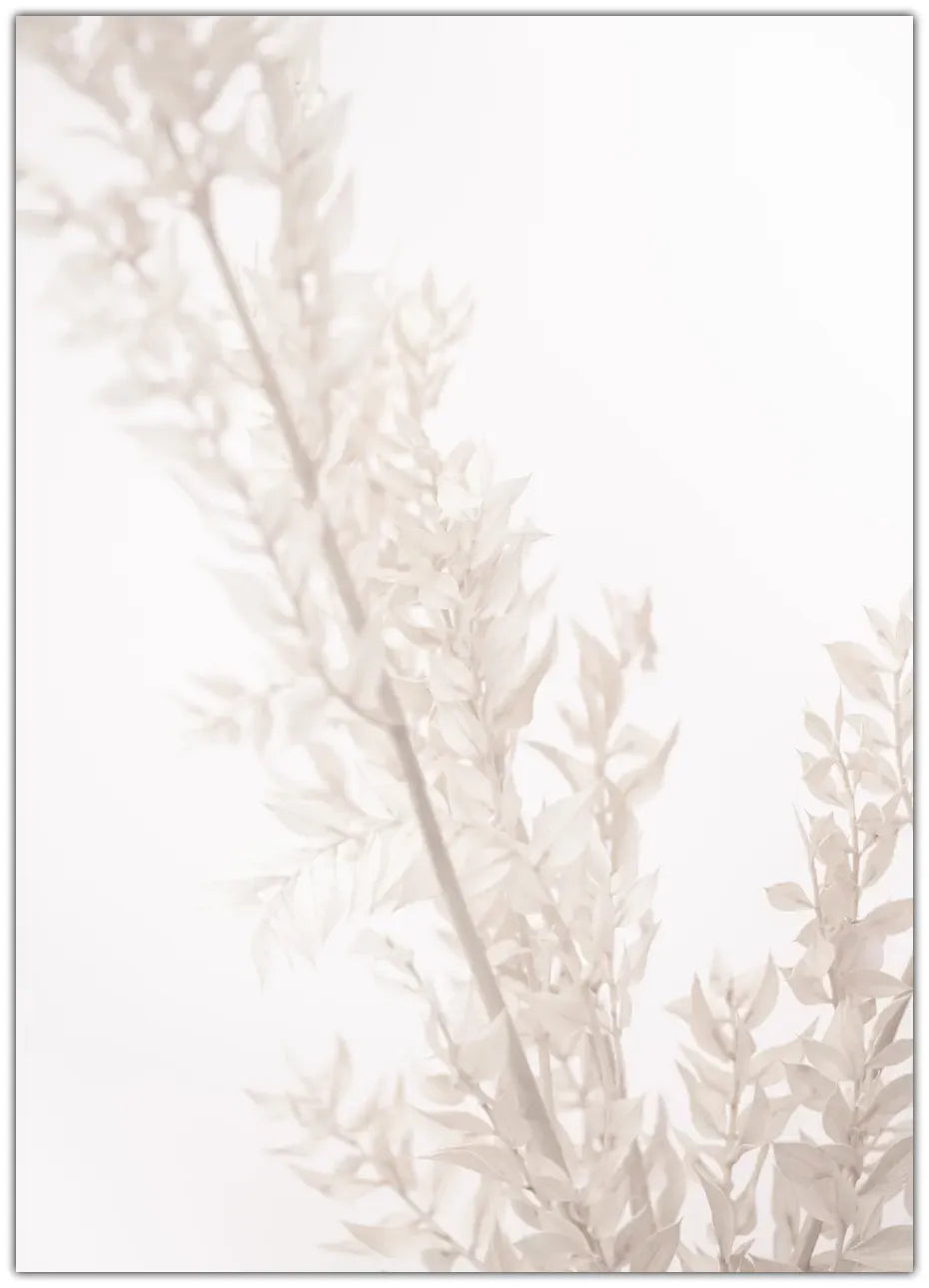 Dried Straws Plakat