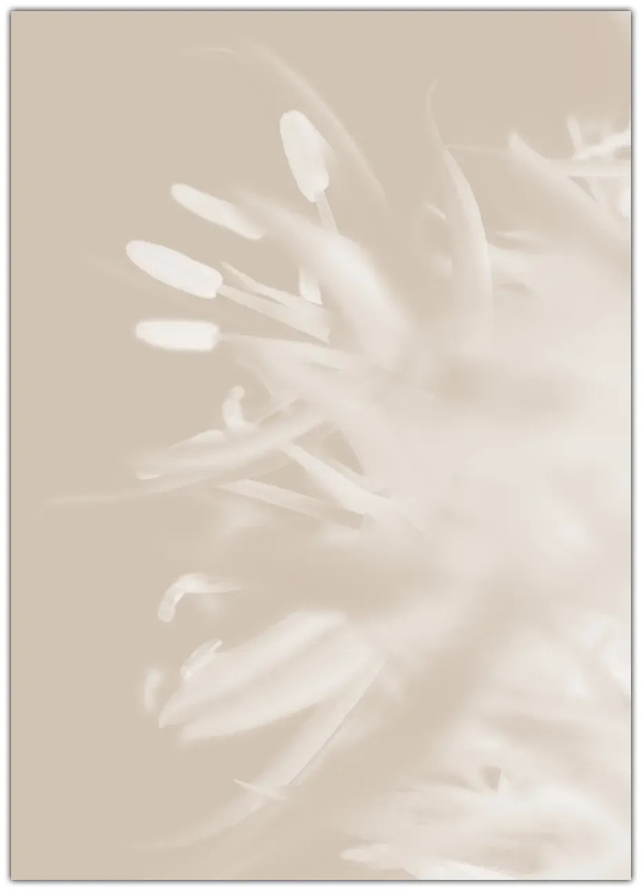 Flower Beige 1 Plakat