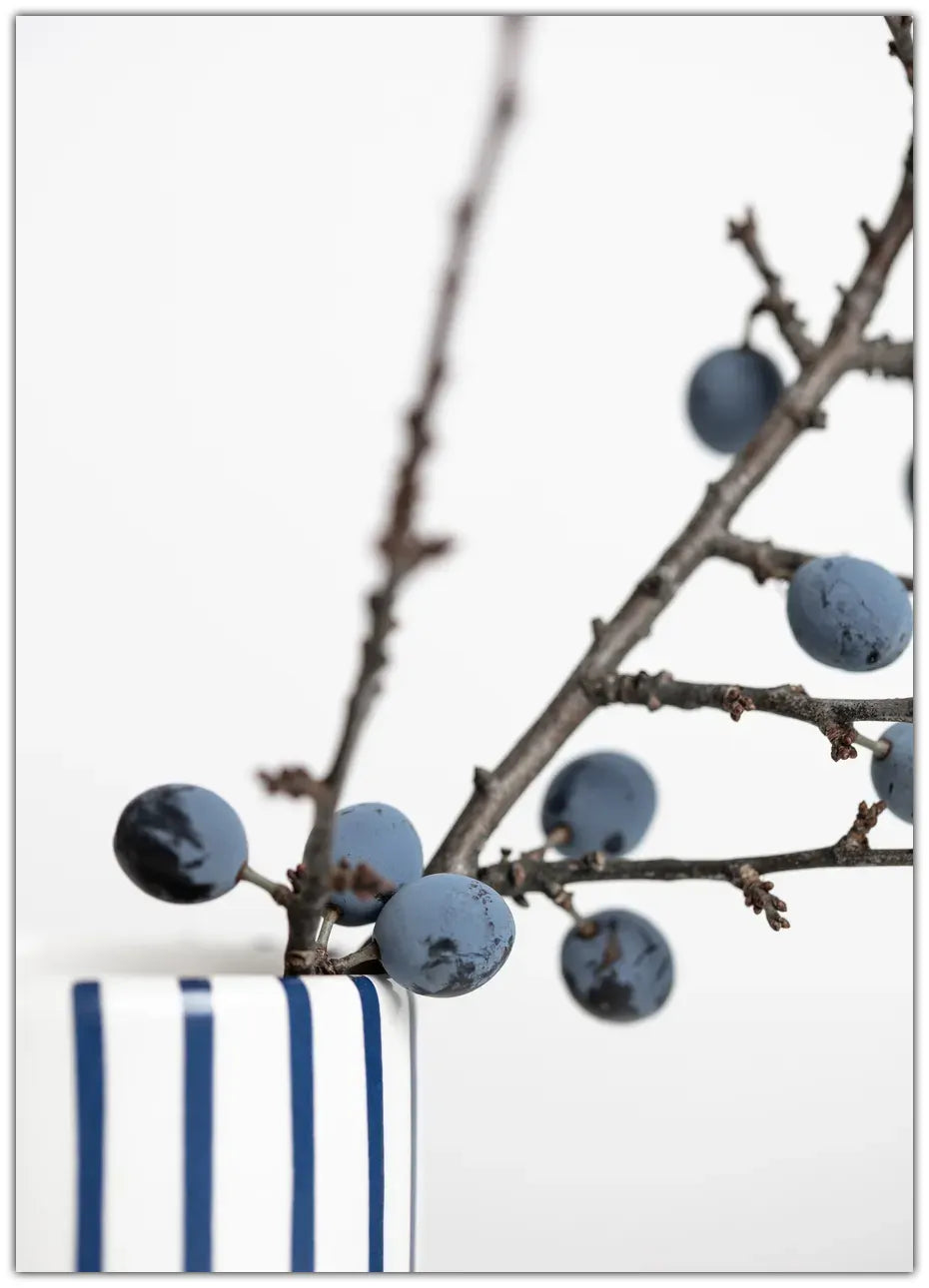 Berries Blue Plakat
