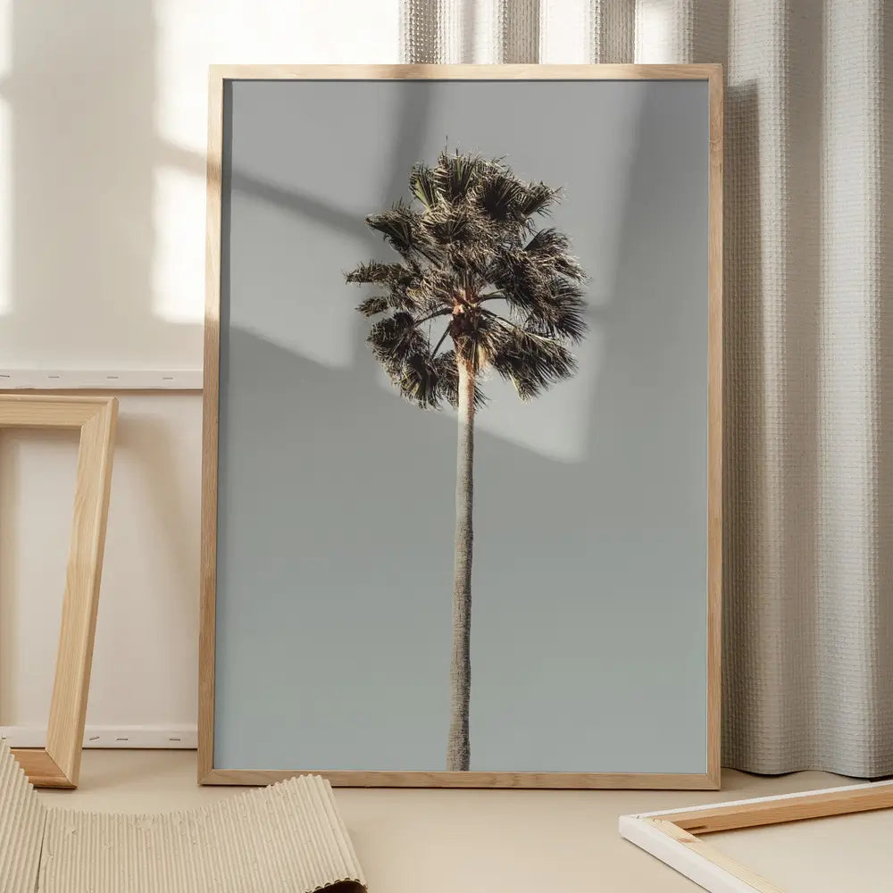 Palm 1 Plakat