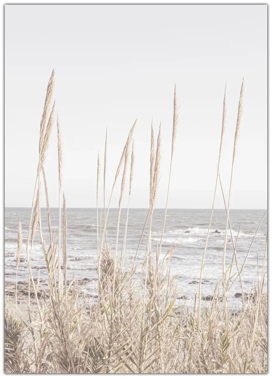 Beach Vass Plakat