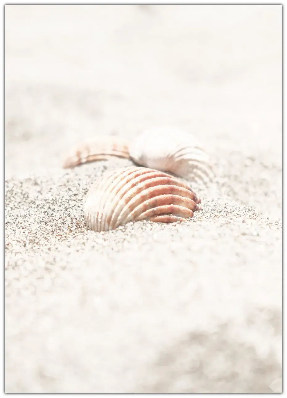 Beach 13 Plakat