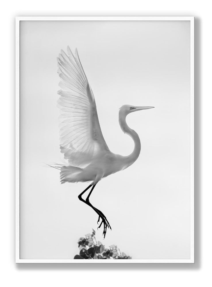 Taking off Plakat