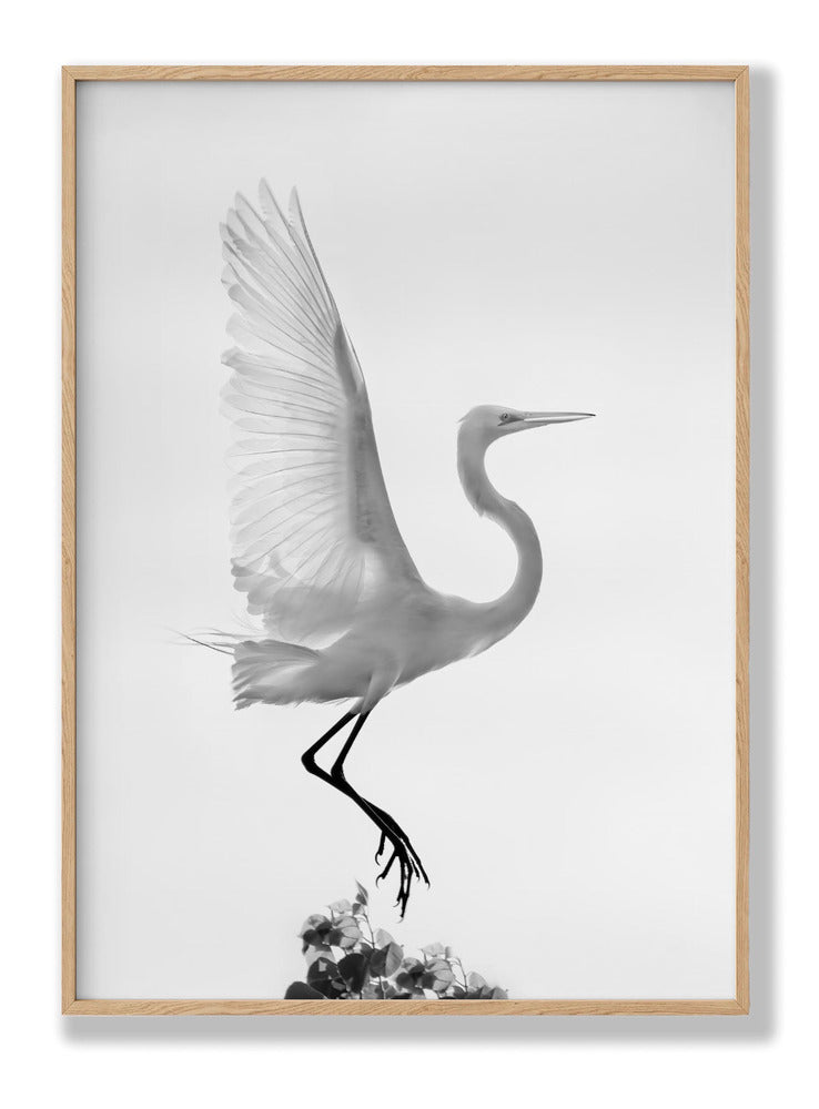 Taking off Plakat