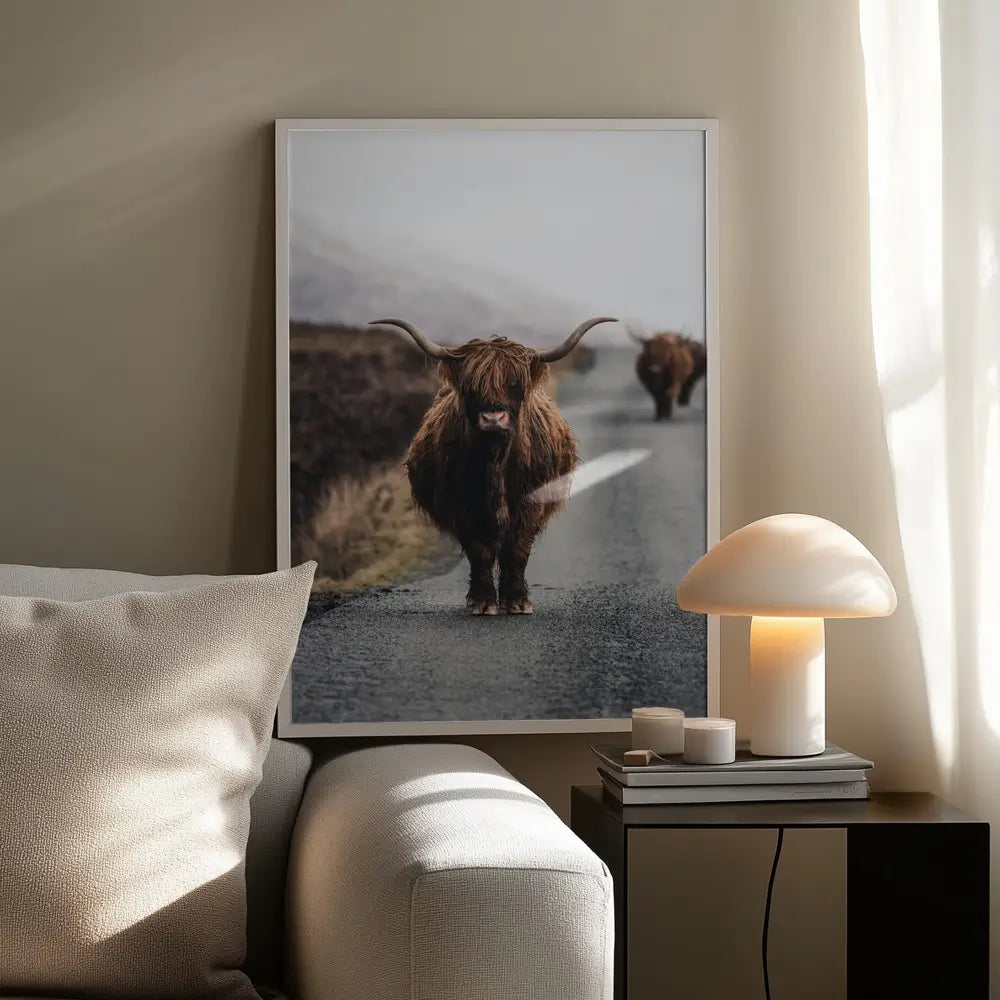 Cow Plakat