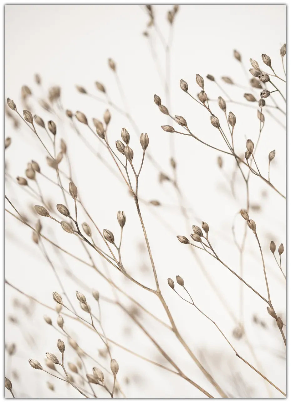 Wild Grass Plakat