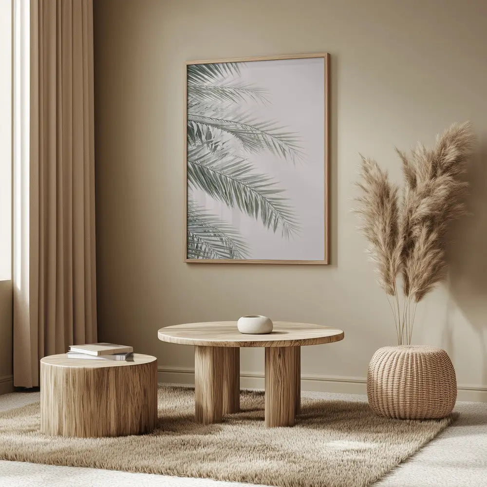Blush Palm Leaves Plakat