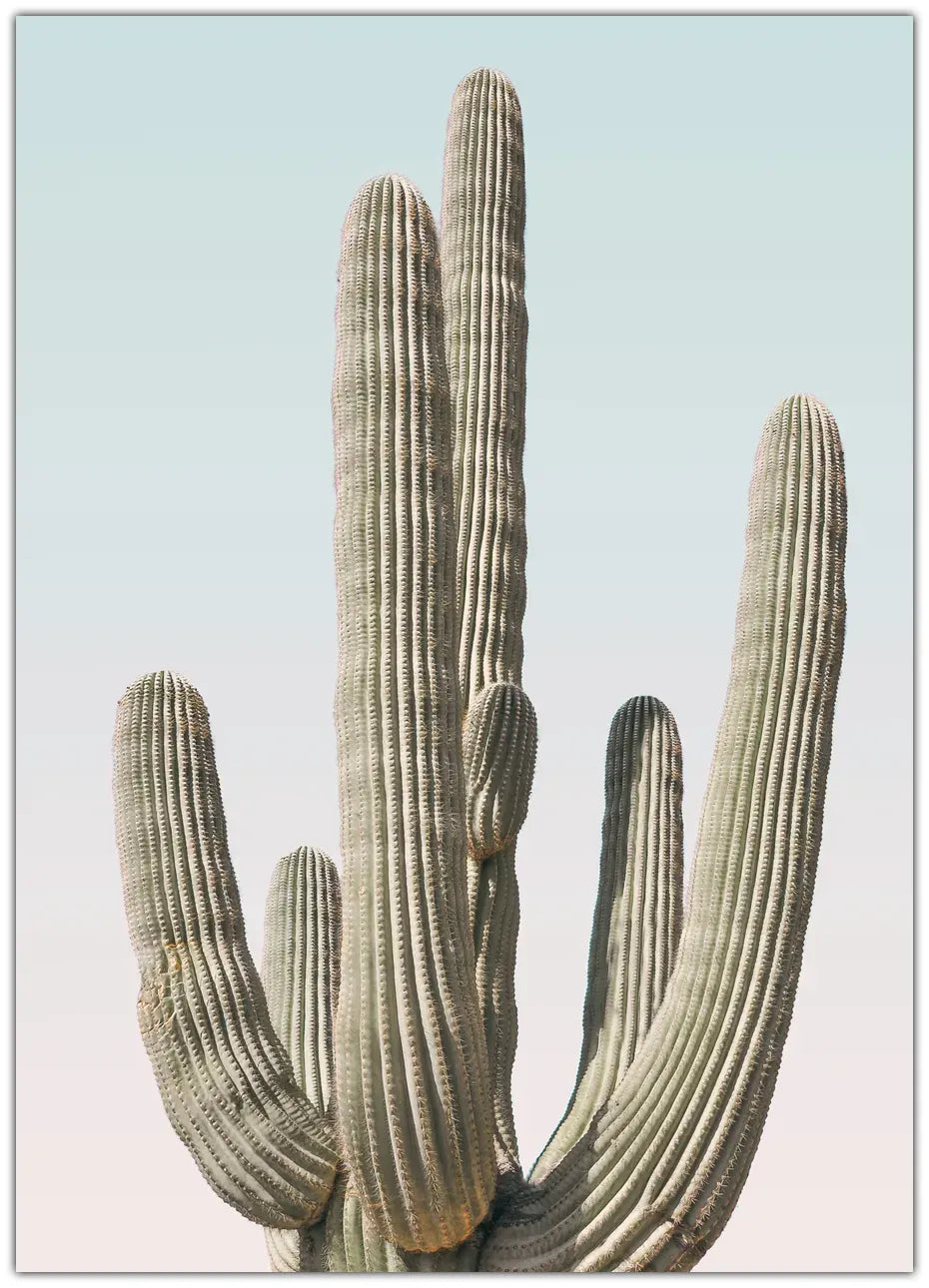 Saguaro Plakat