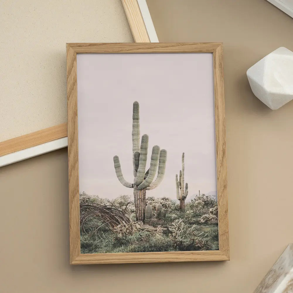Pink Saguaro Plakat