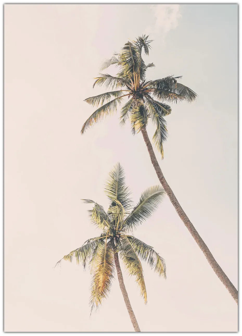 Tropical Palms Plakat