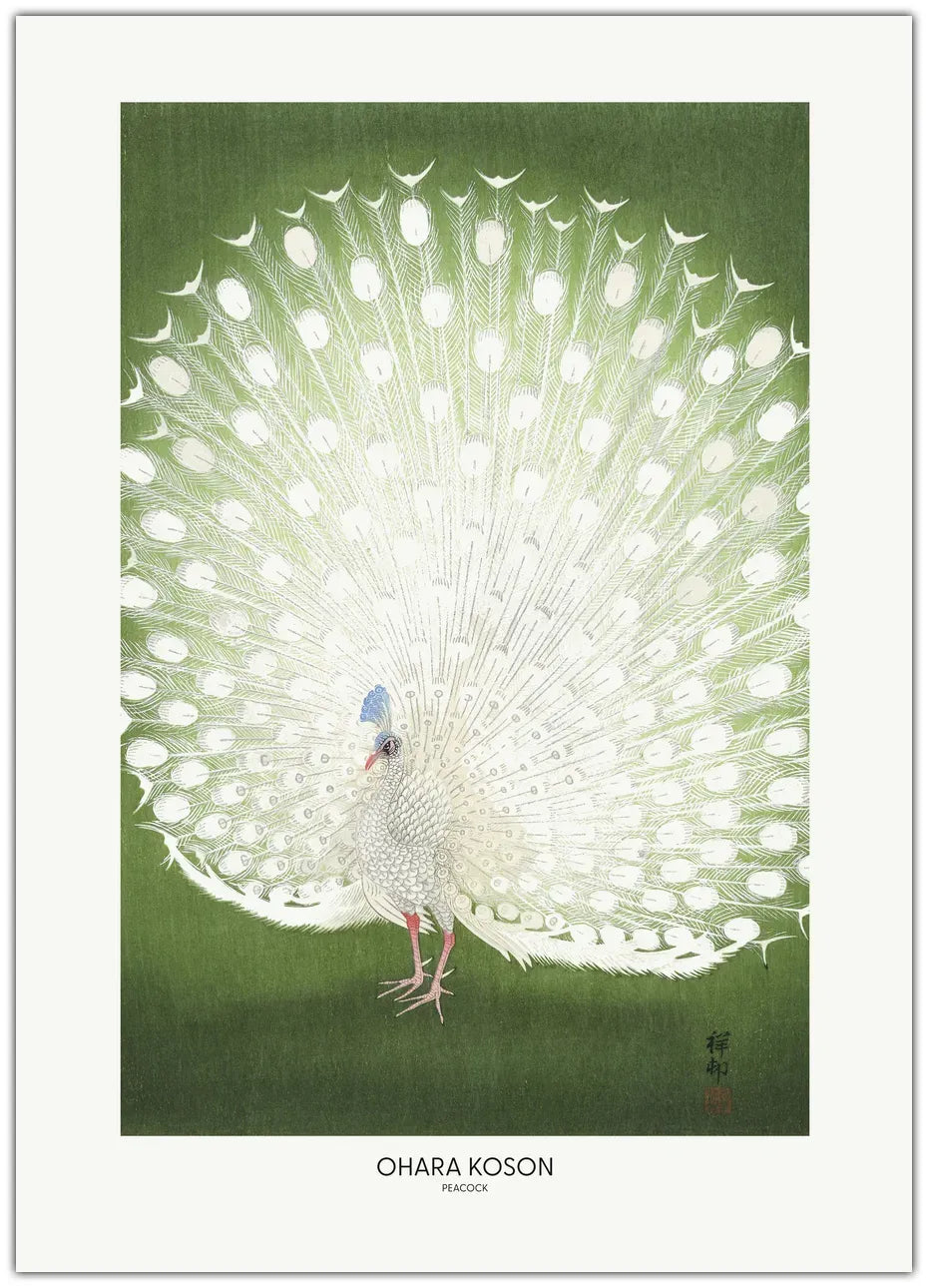 Ohara Koson - Peacock Cropped Plakat