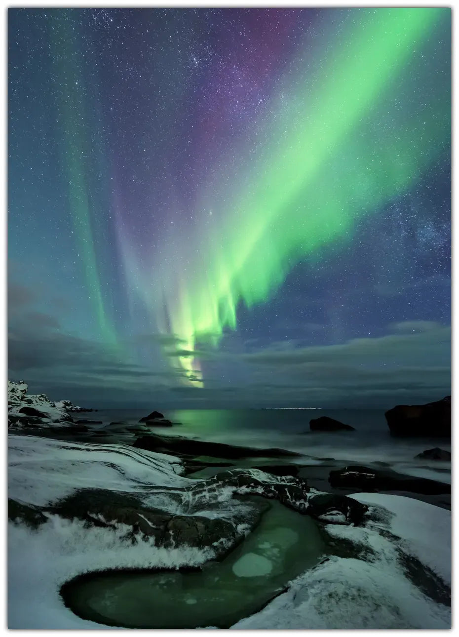 Green Fairy Plakat