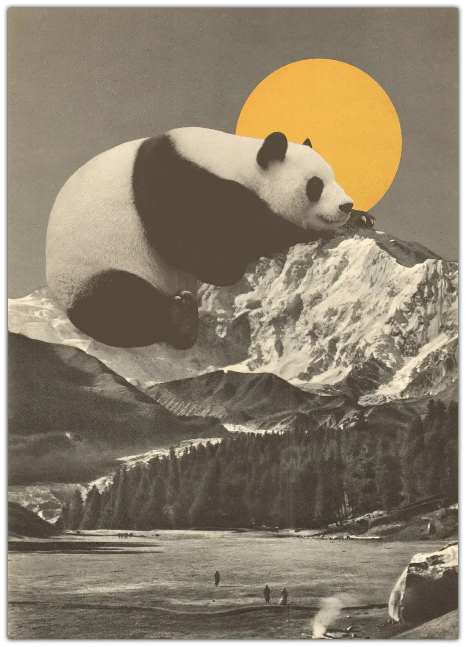 Giant Panda Nap Plakat